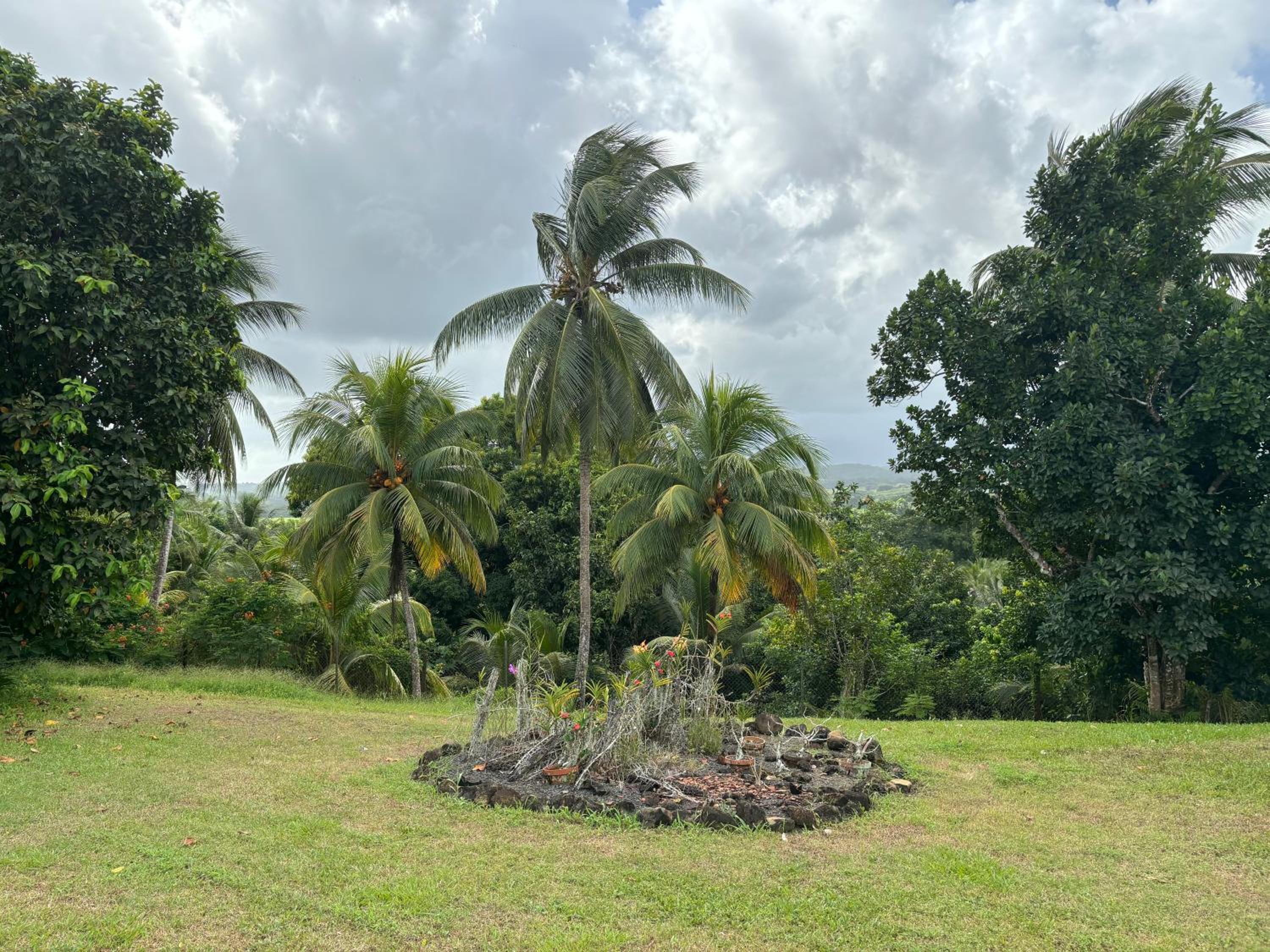 Ti COCO view 5