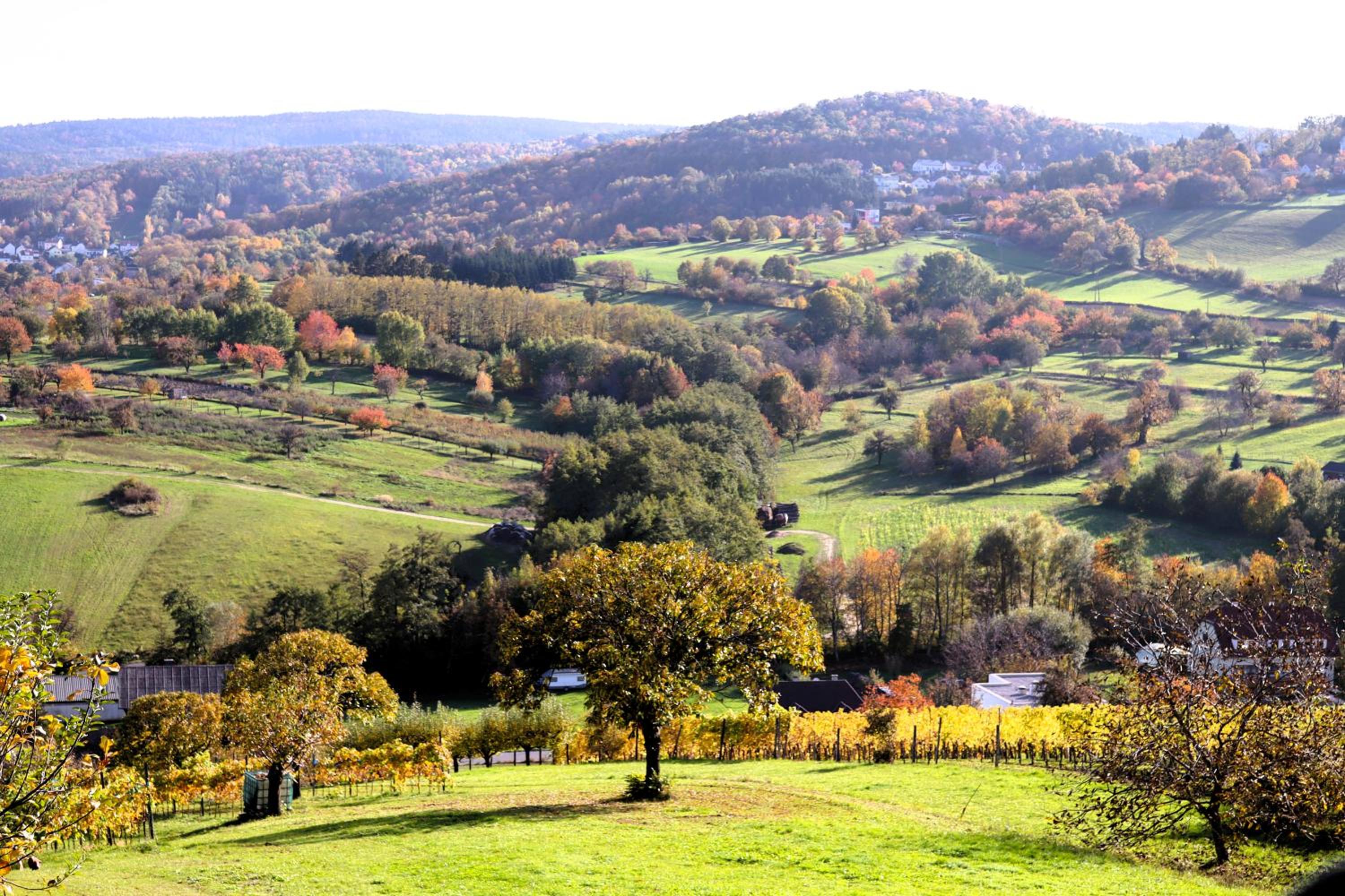 Appartement ROSalia