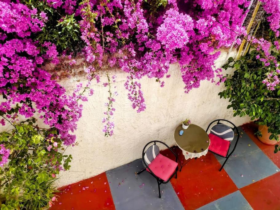 Charming Stone house, 500 meters to Acropolis