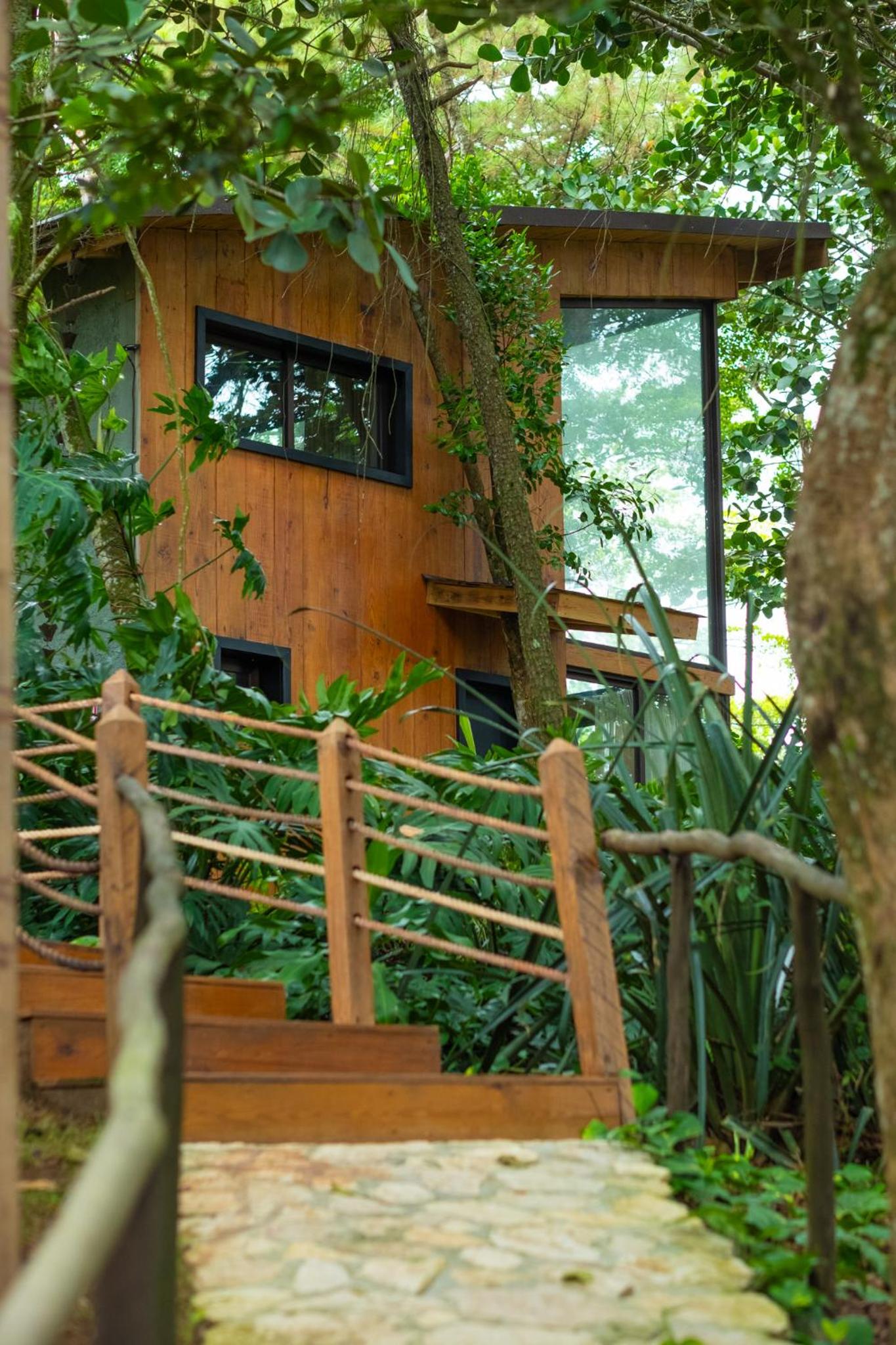The Grand Forest Jarabacoa