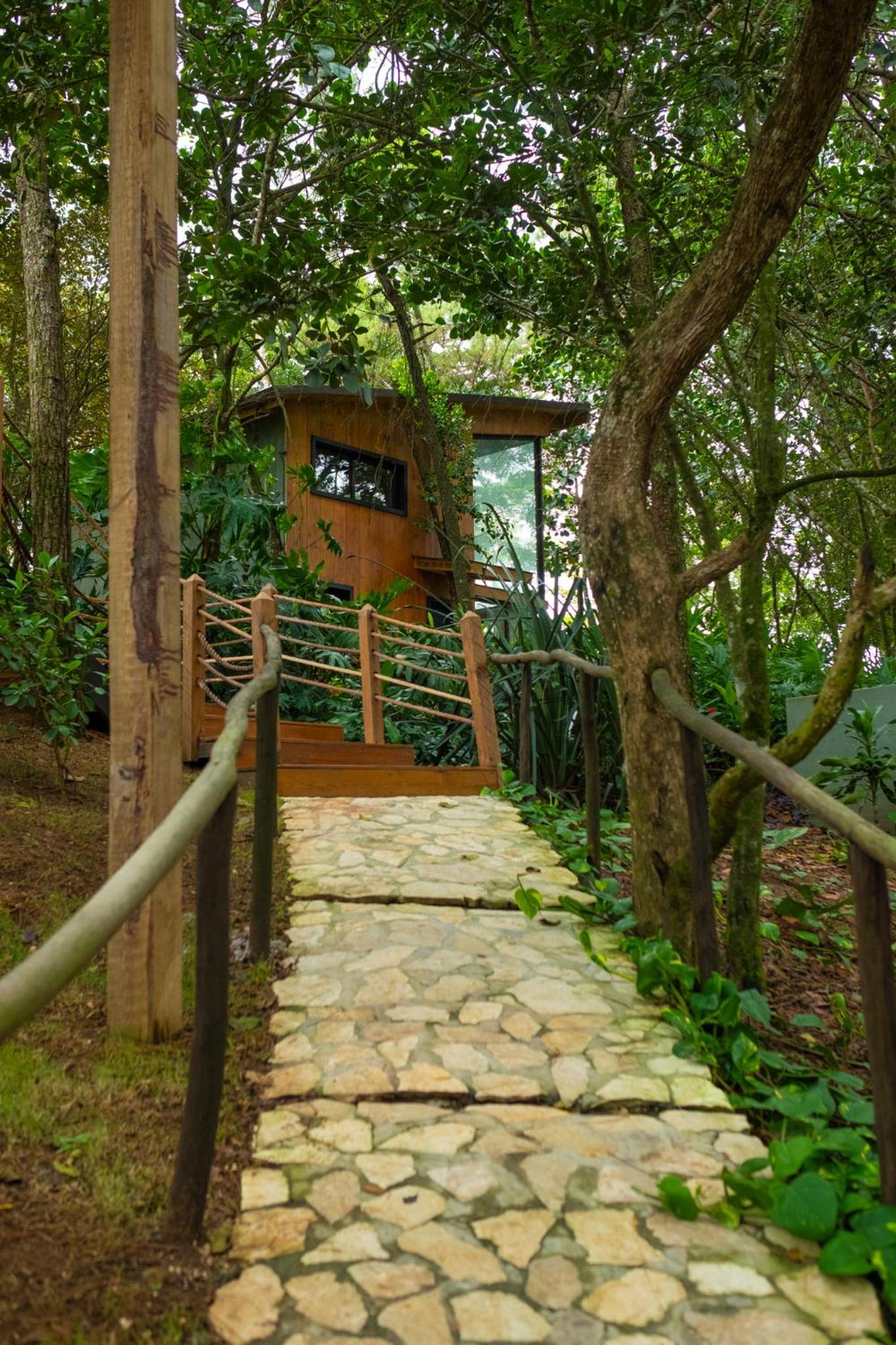 The Grand Forest Jarabacoa