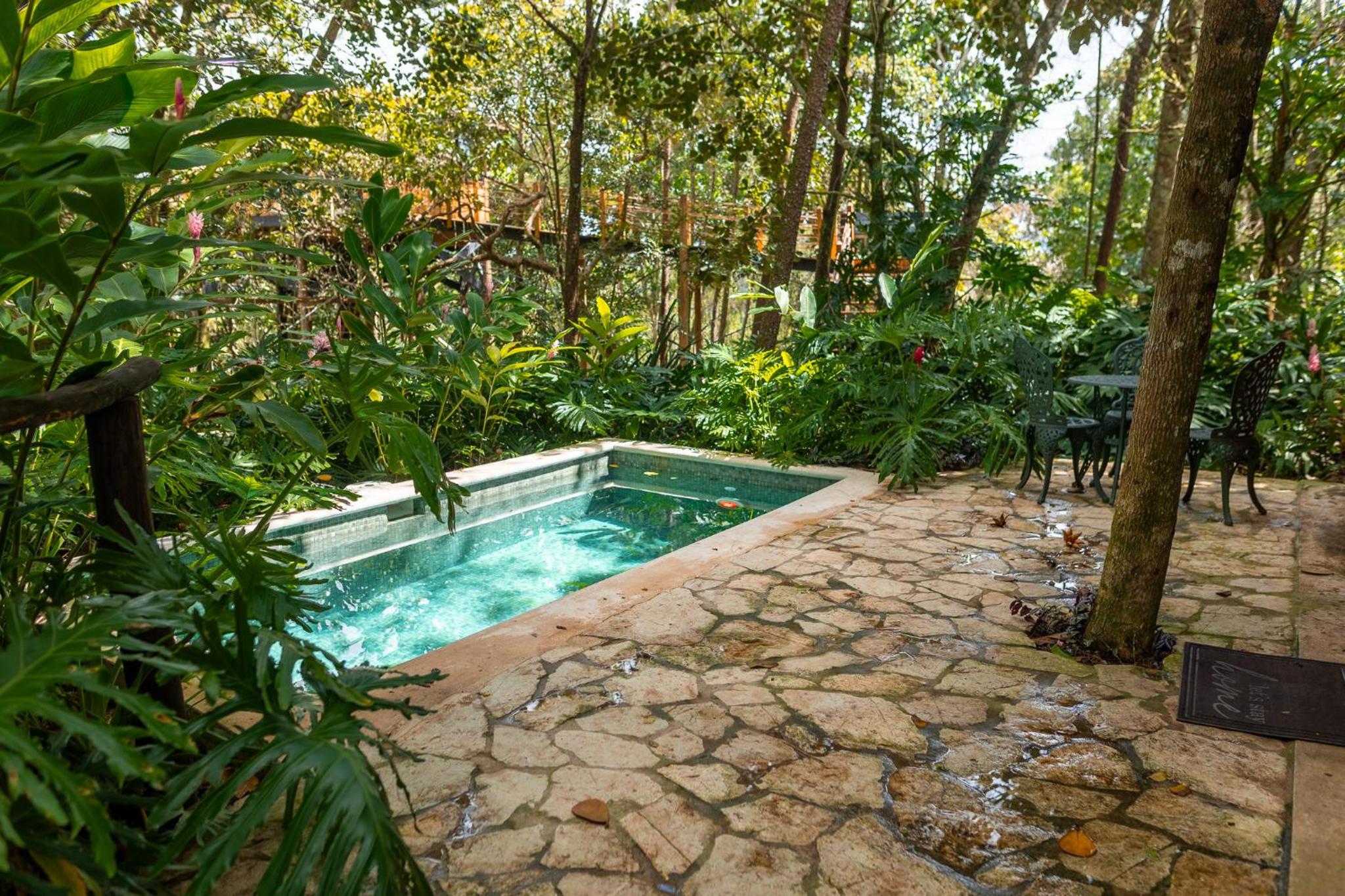 The Grand Forest Jarabacoa