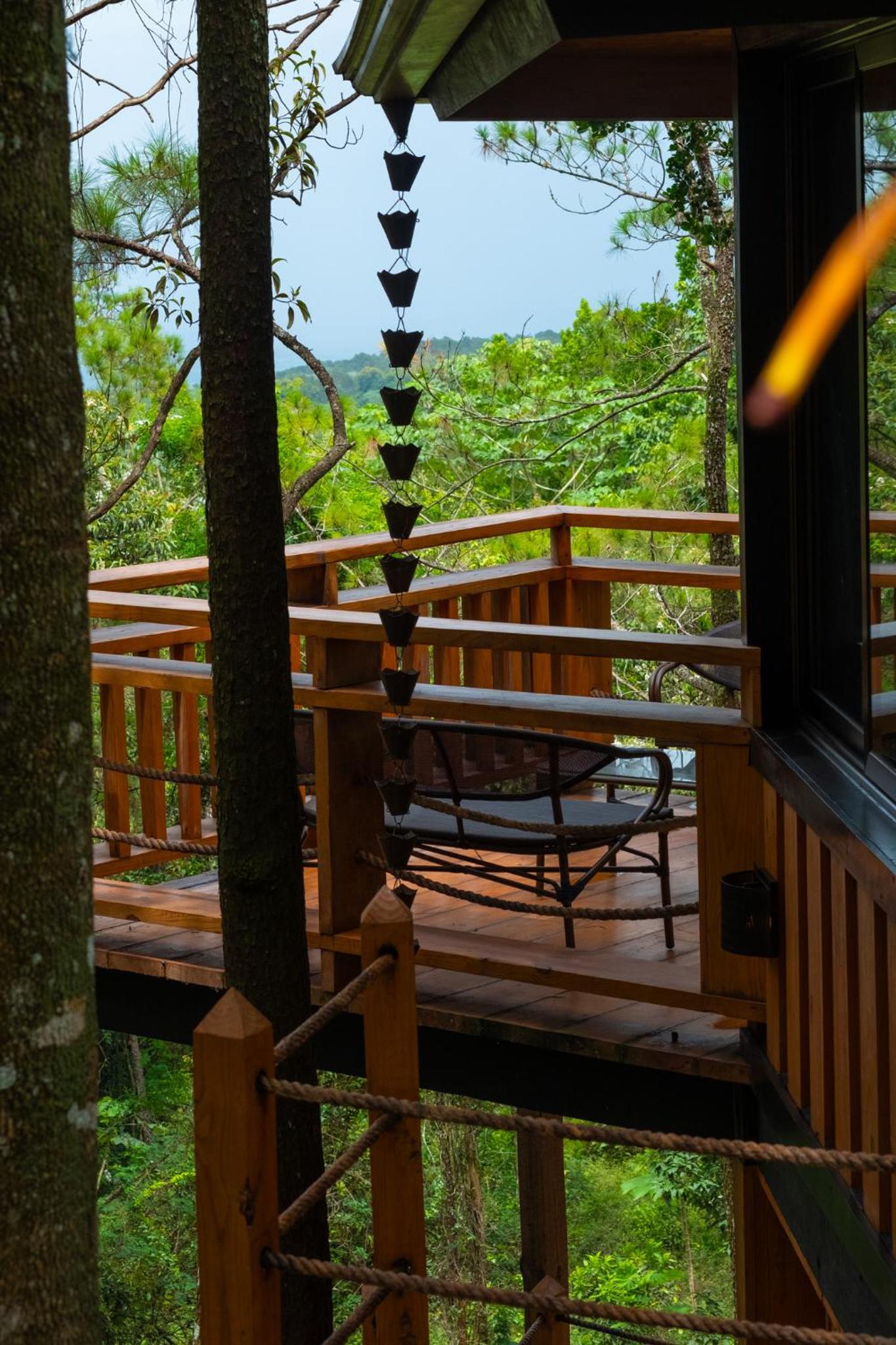 The Grand Forest Jarabacoa