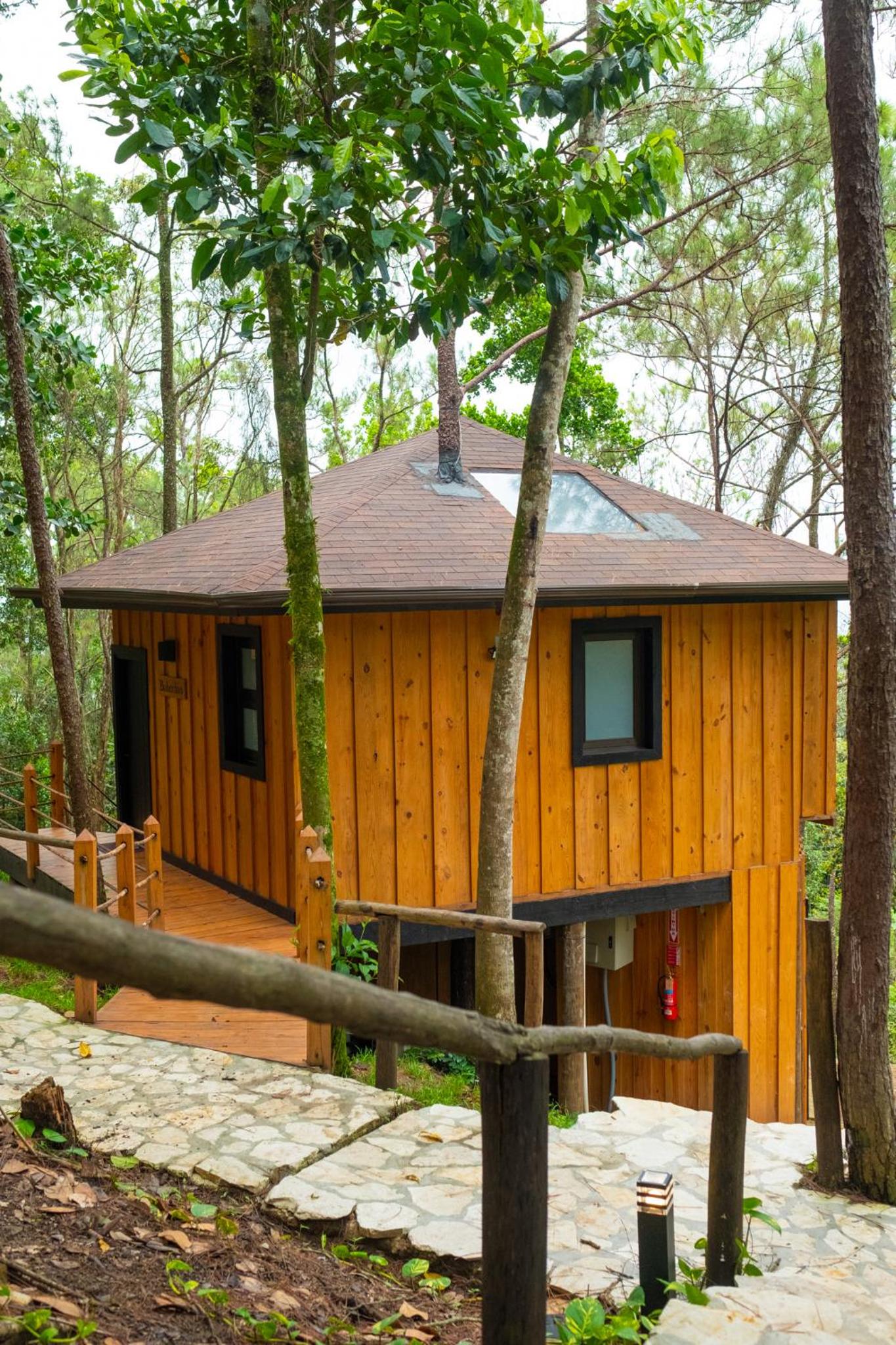 The Grand Forest Jarabacoa