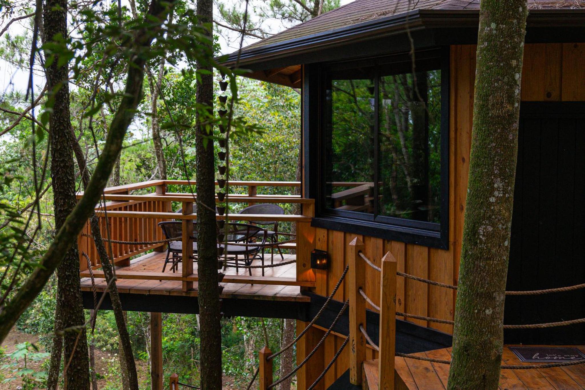The Grand Forest Jarabacoa