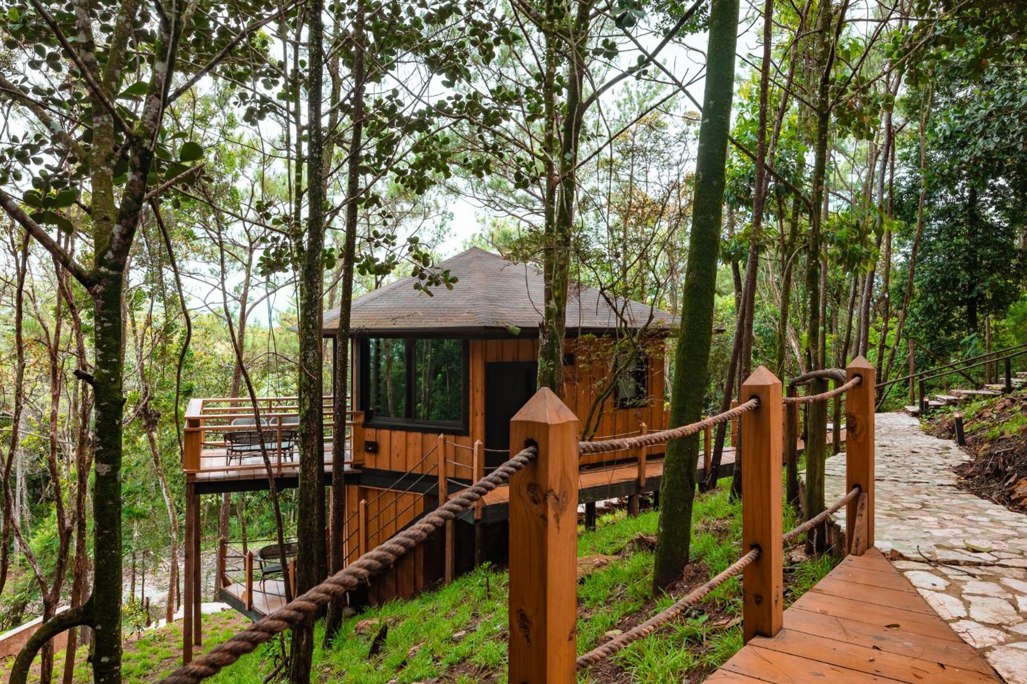 The Grand Forest Jarabacoa