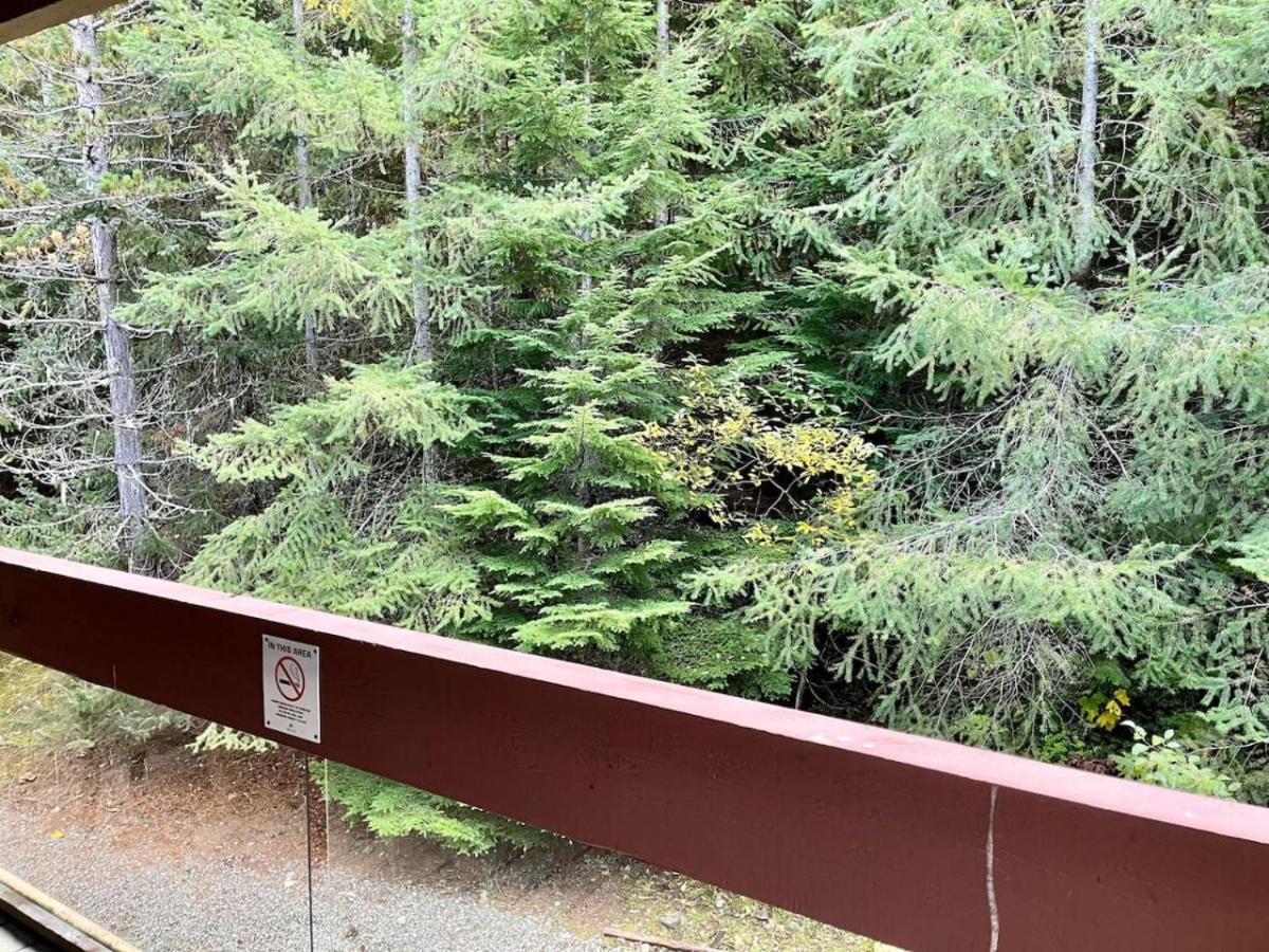 Mountainside suite hot tub pool barrel sauna