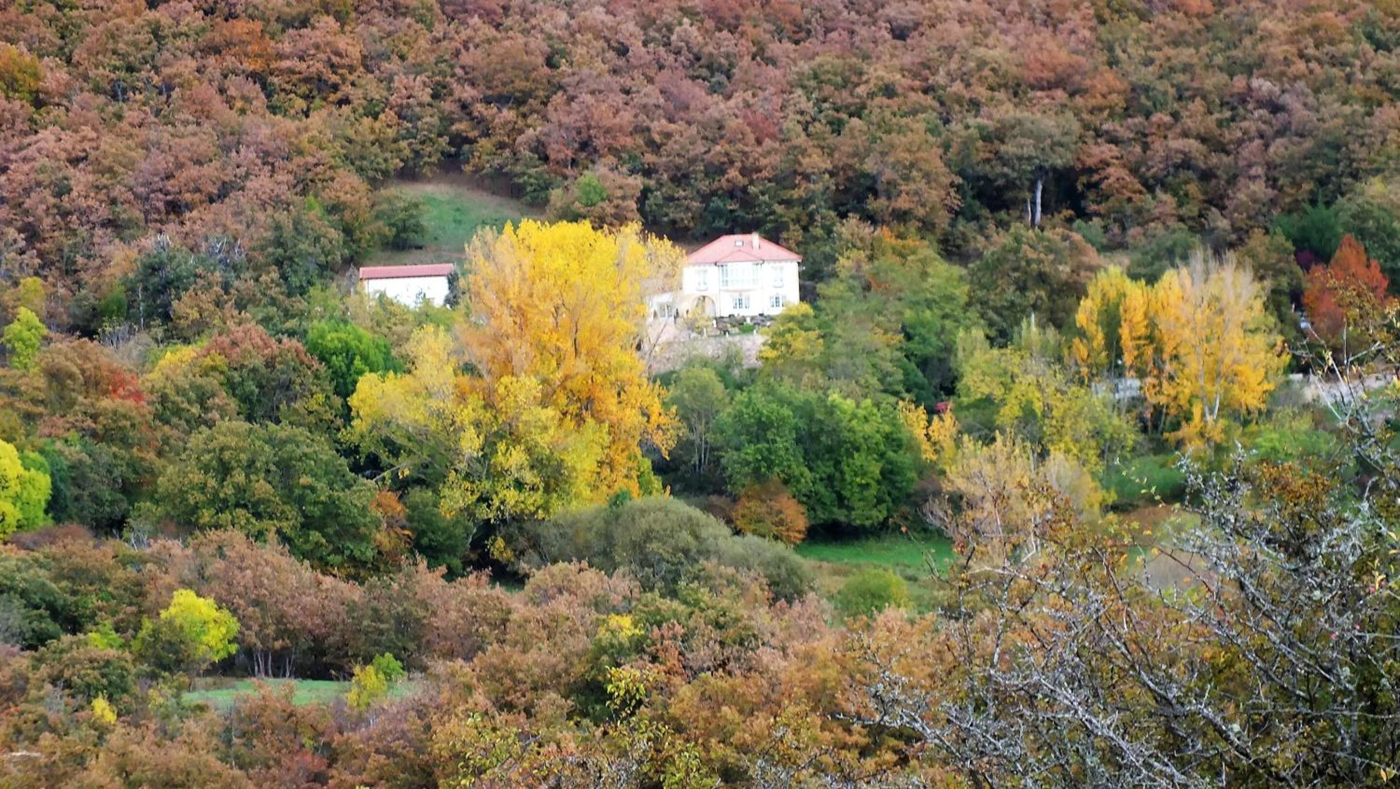 Photo 43