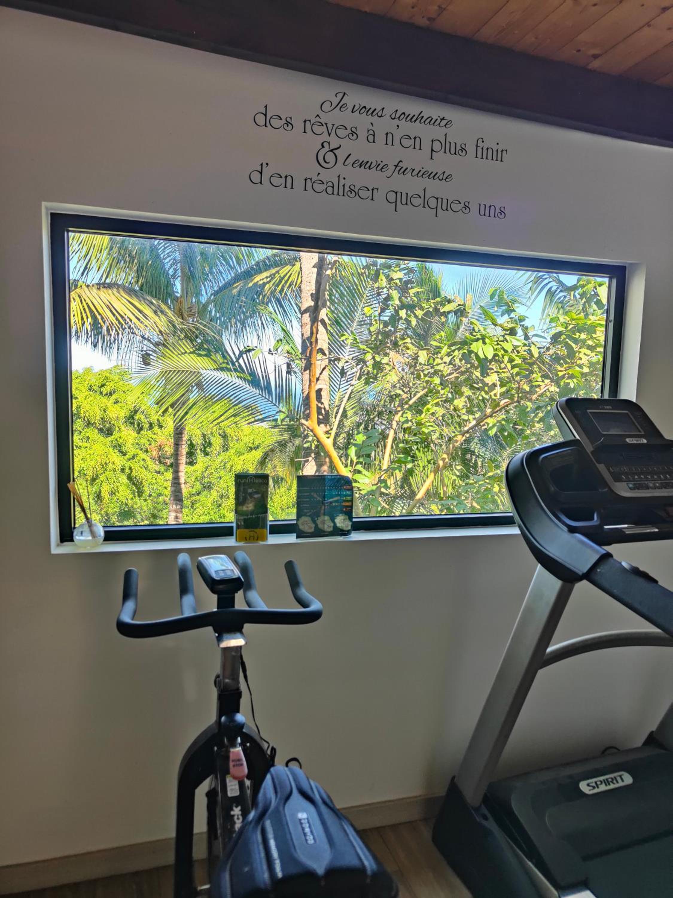 OHANA Jungle Lodges