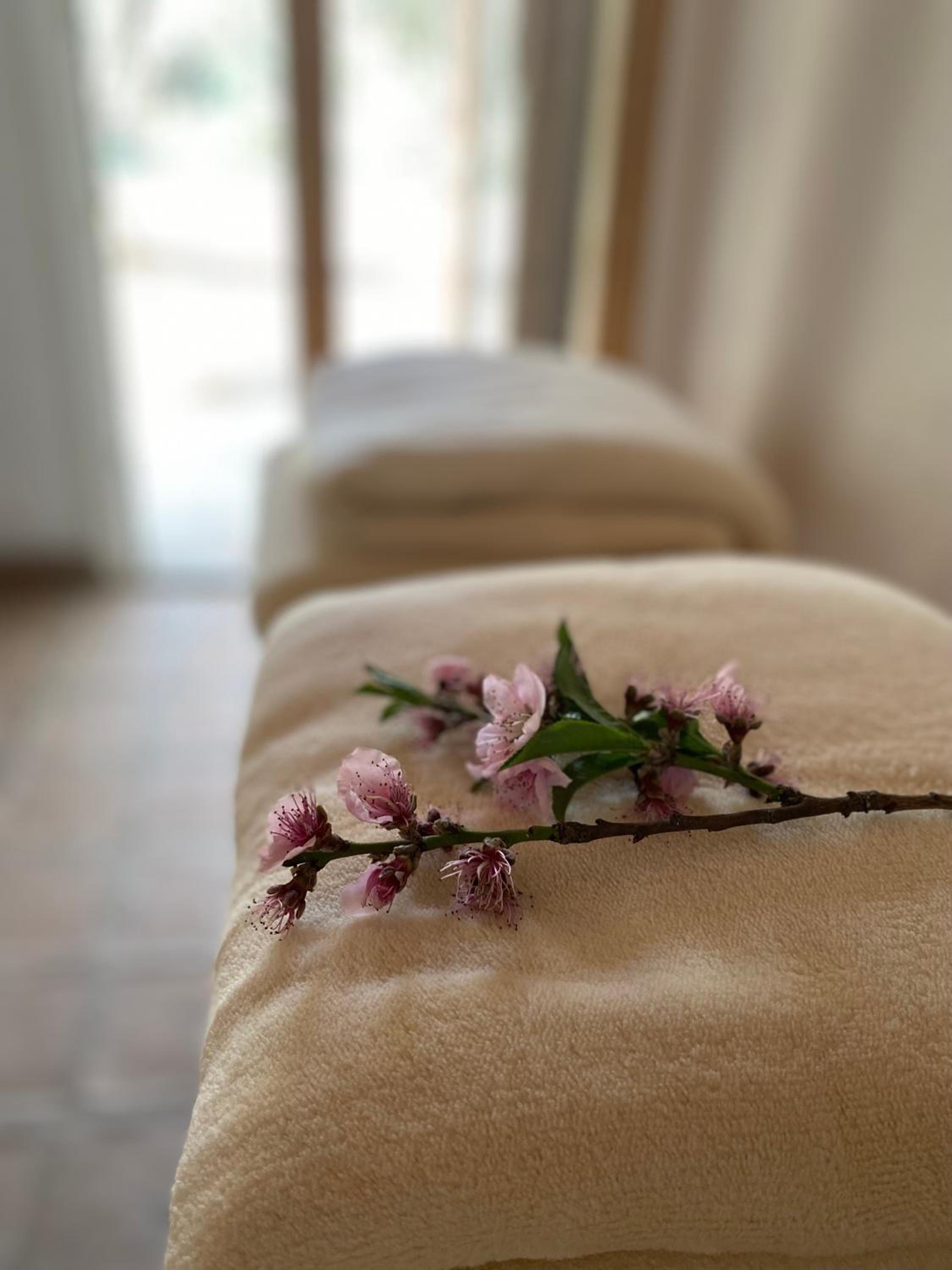 Casa Natu- Naturaleza