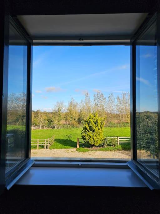 Luxury Retreat, Children and Dogs too view 3