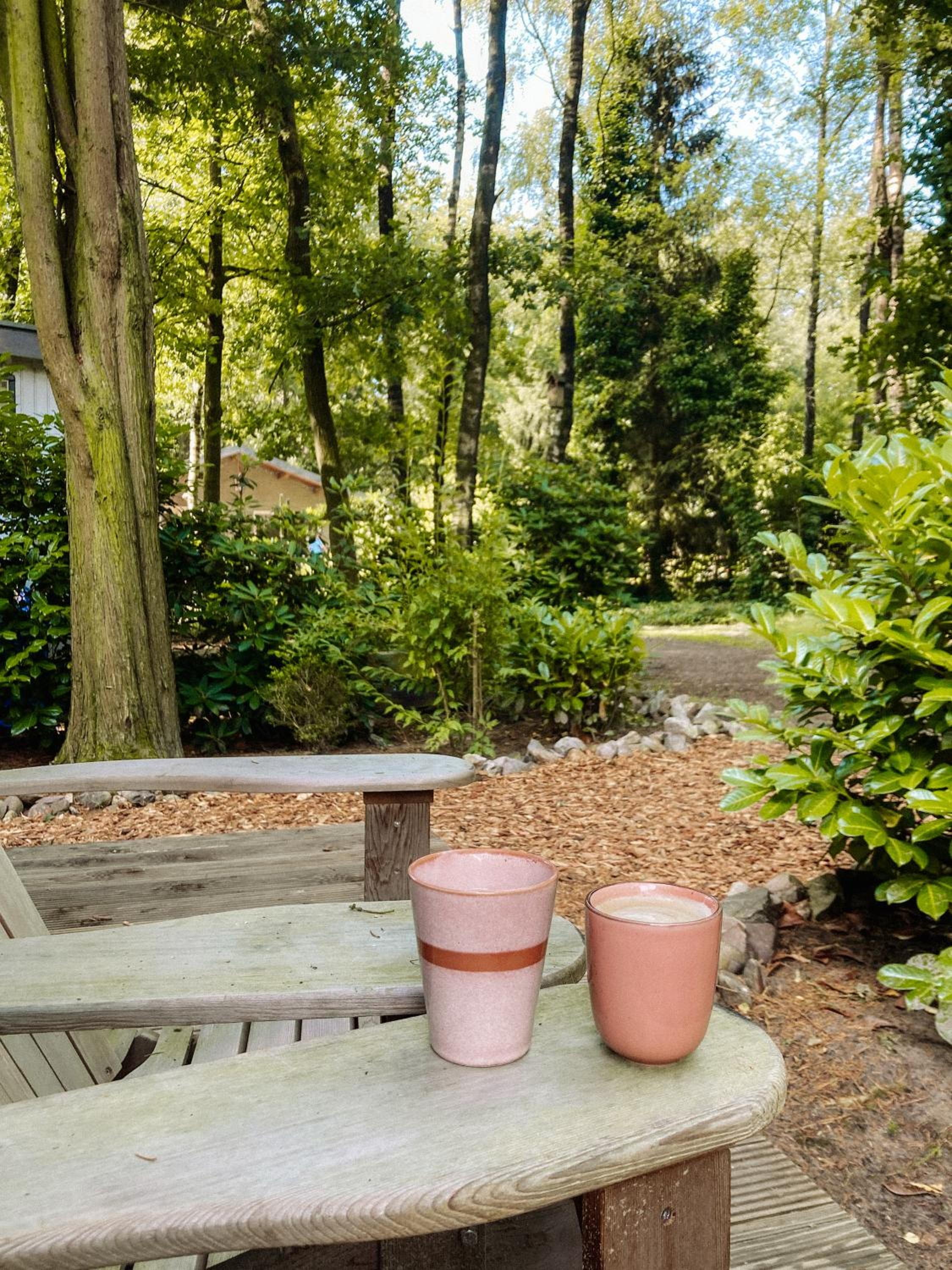 Sfeervol Tiny House in het Bos view 2
