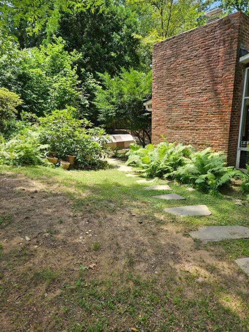 Photo 31