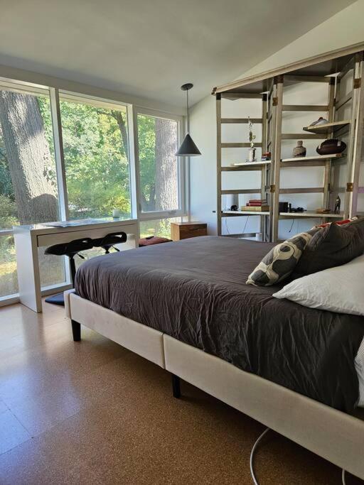 Fall-Winter Mid-Century Modern Relaxing, Retreat view 5