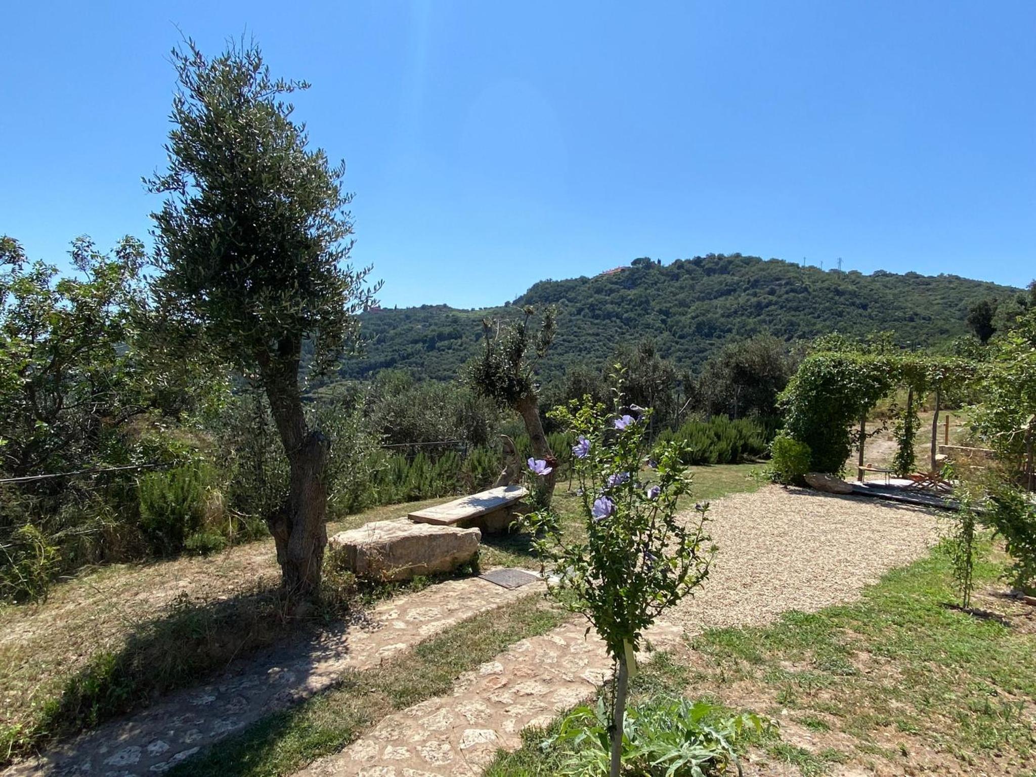 Càmamila sea view charming studio view 5