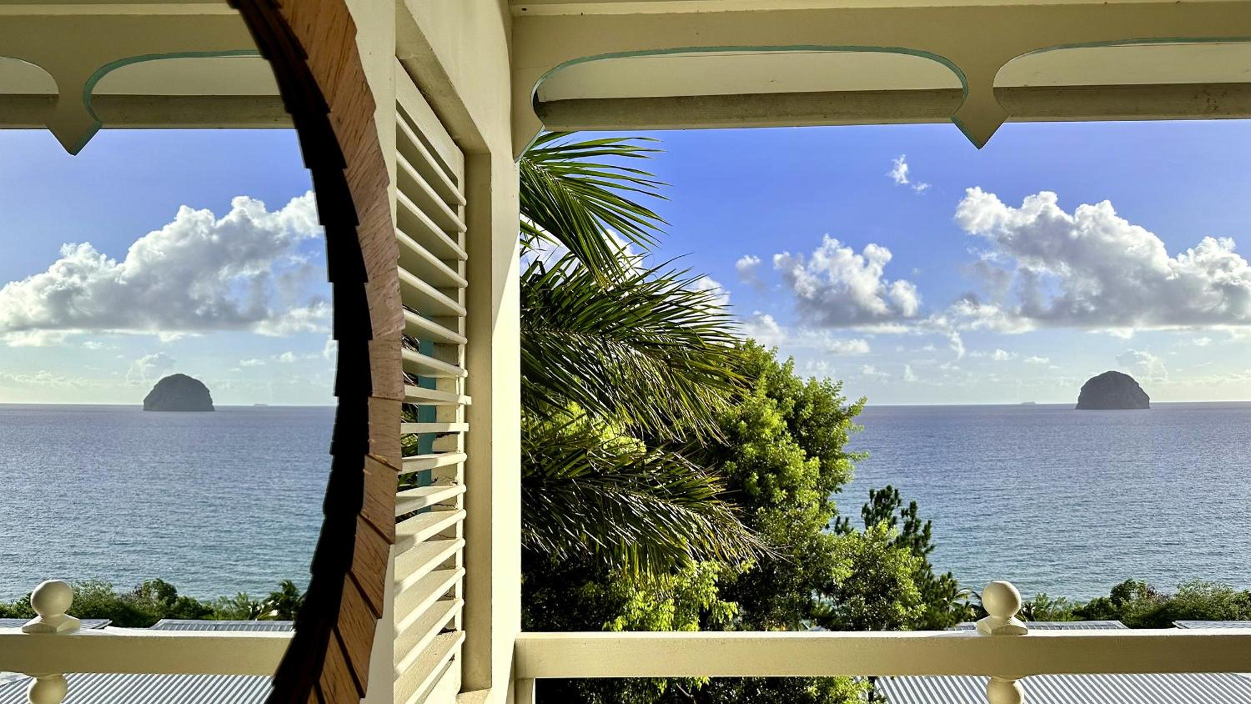 Studio Jungle Diamond view 5