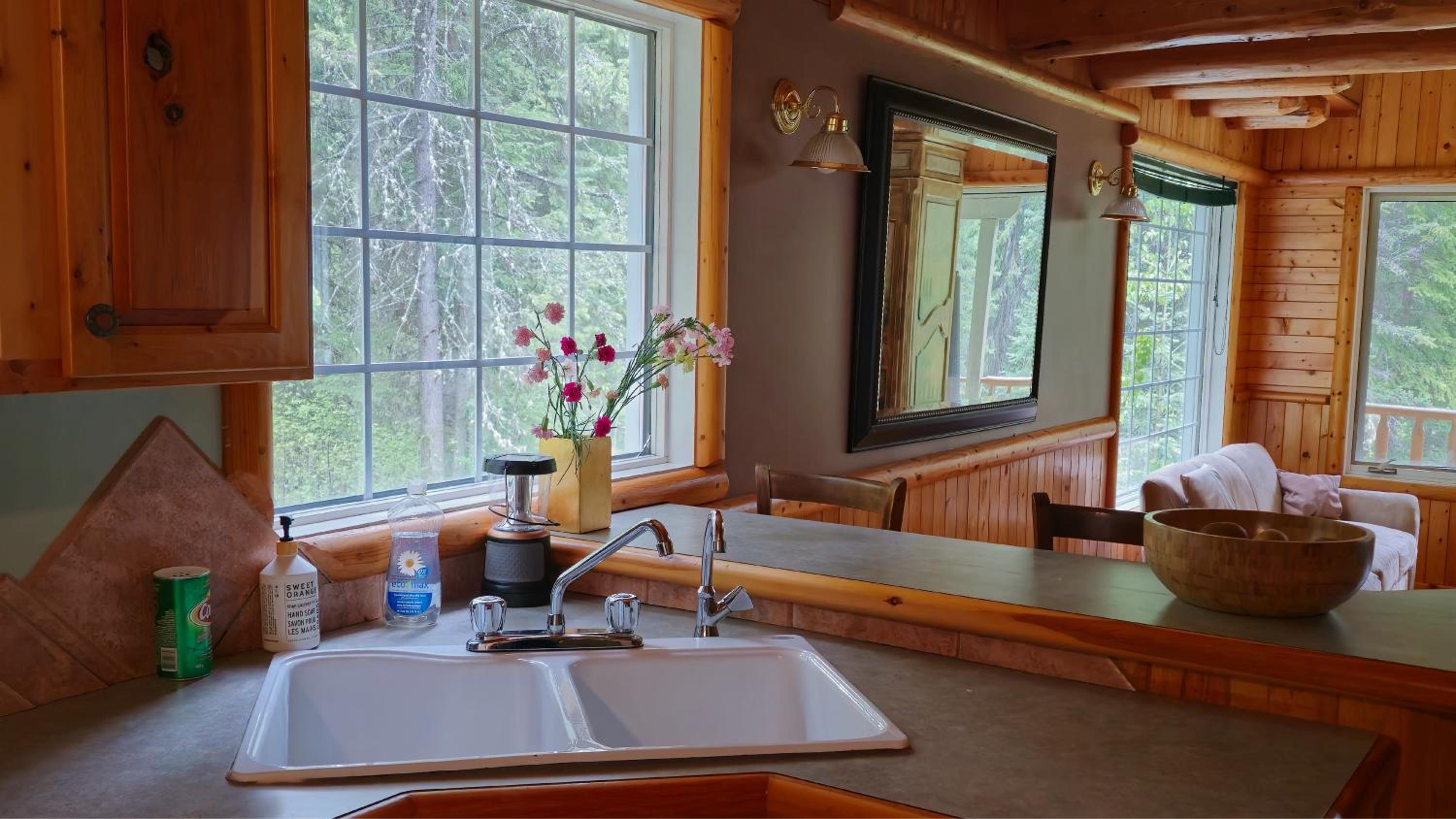 Rustic Executive Cabin at Beaverfoot