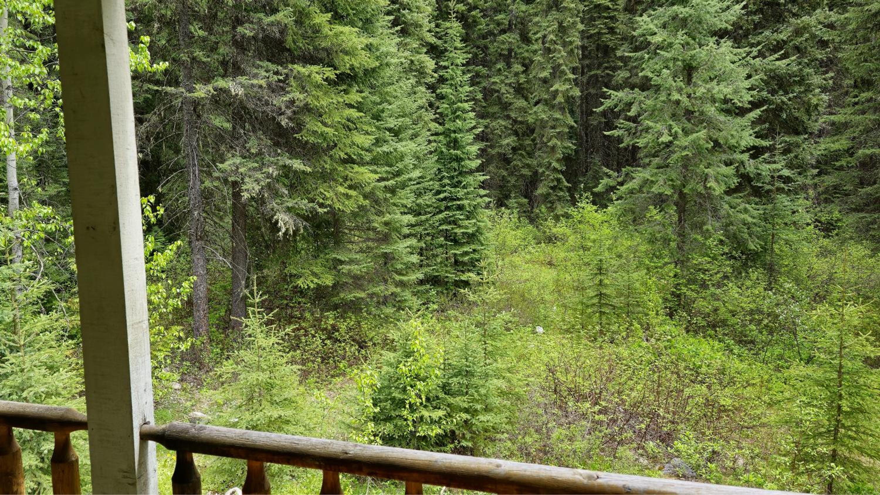 Rustic Executive Cabin at Beaverfoot