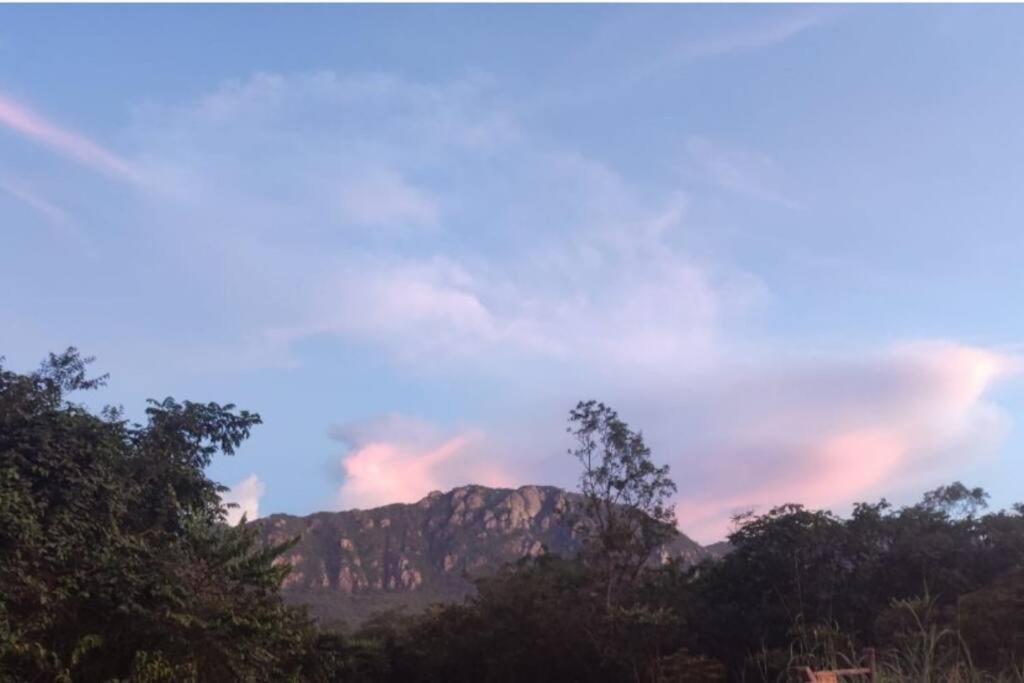 CantoBeijaFlor