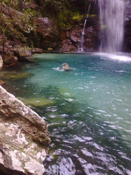 CantoBeijaFlor