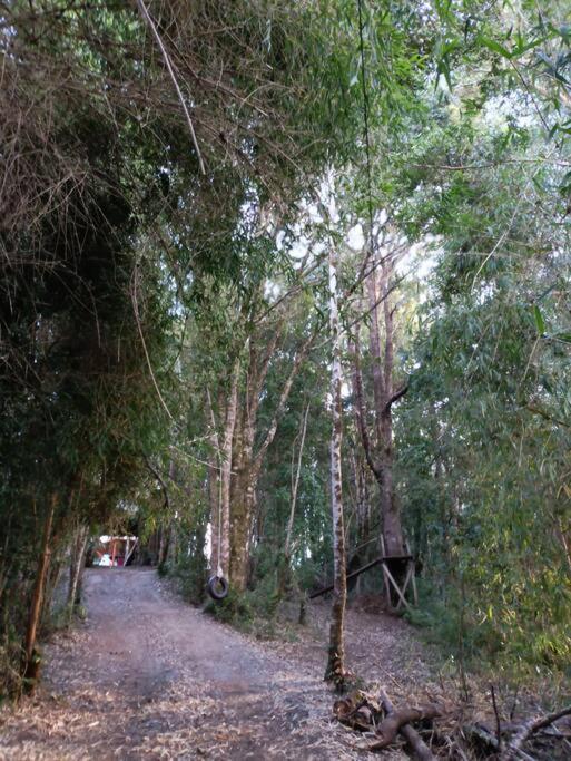 Cabaña Entre Arrayanes Número 2