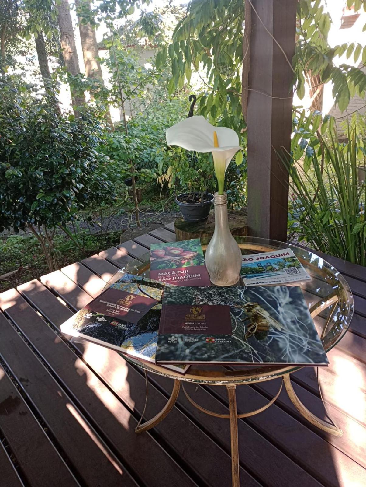 Quintal das Araucárias hospedagem