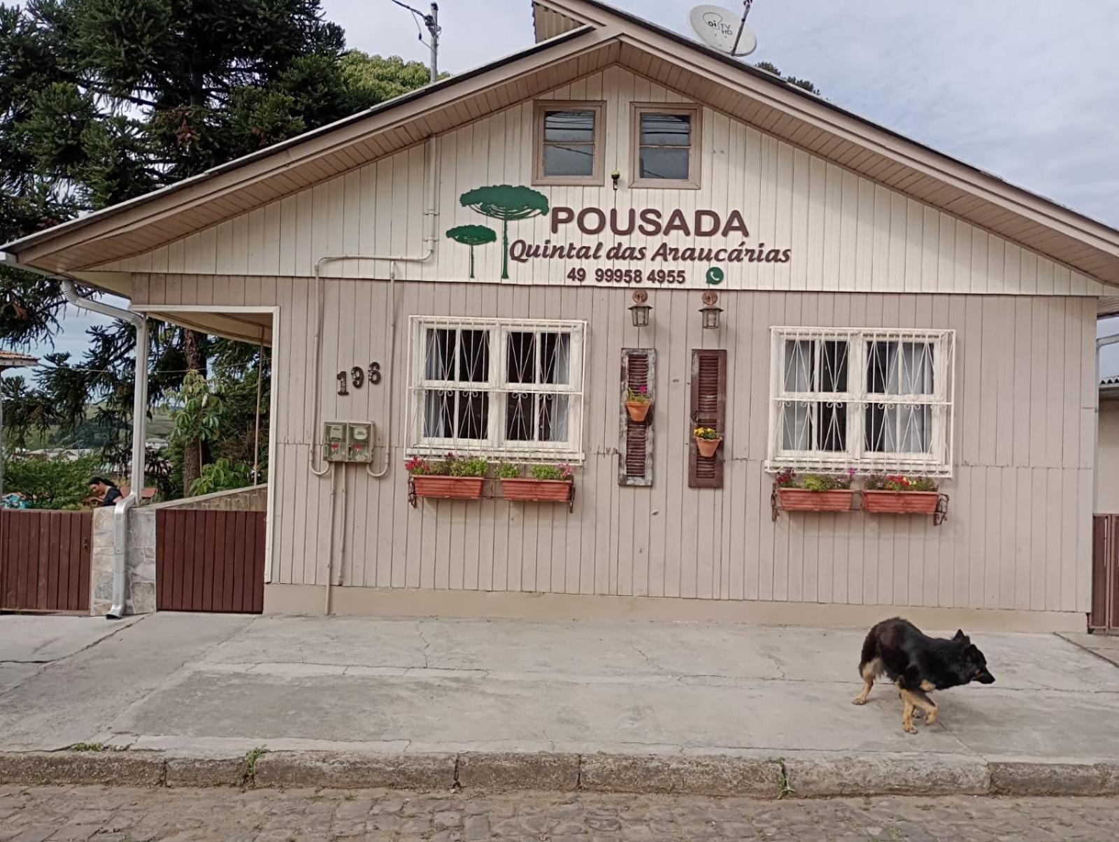 Quintal das Araucárias hospedagem