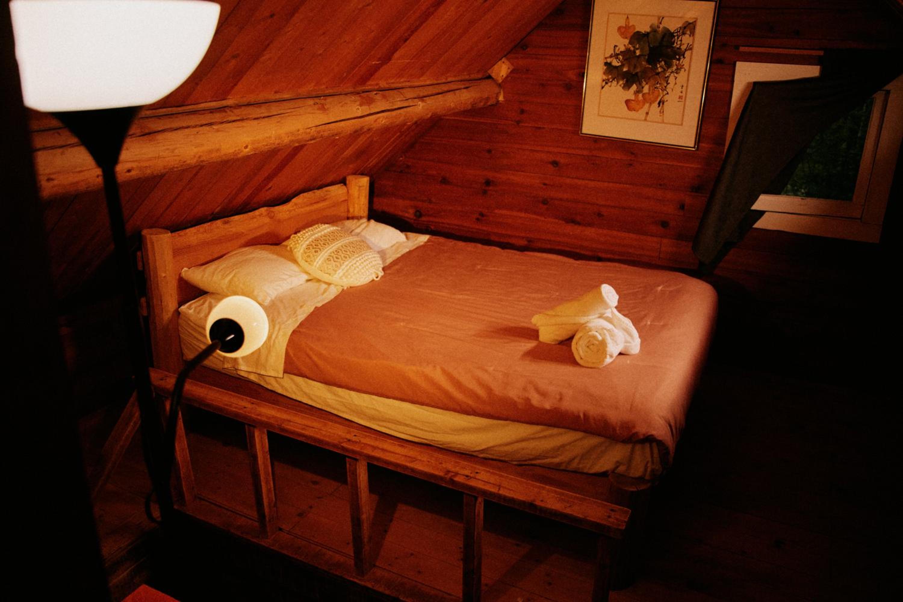 Rustic Woodland Cabin at Beaverfoot