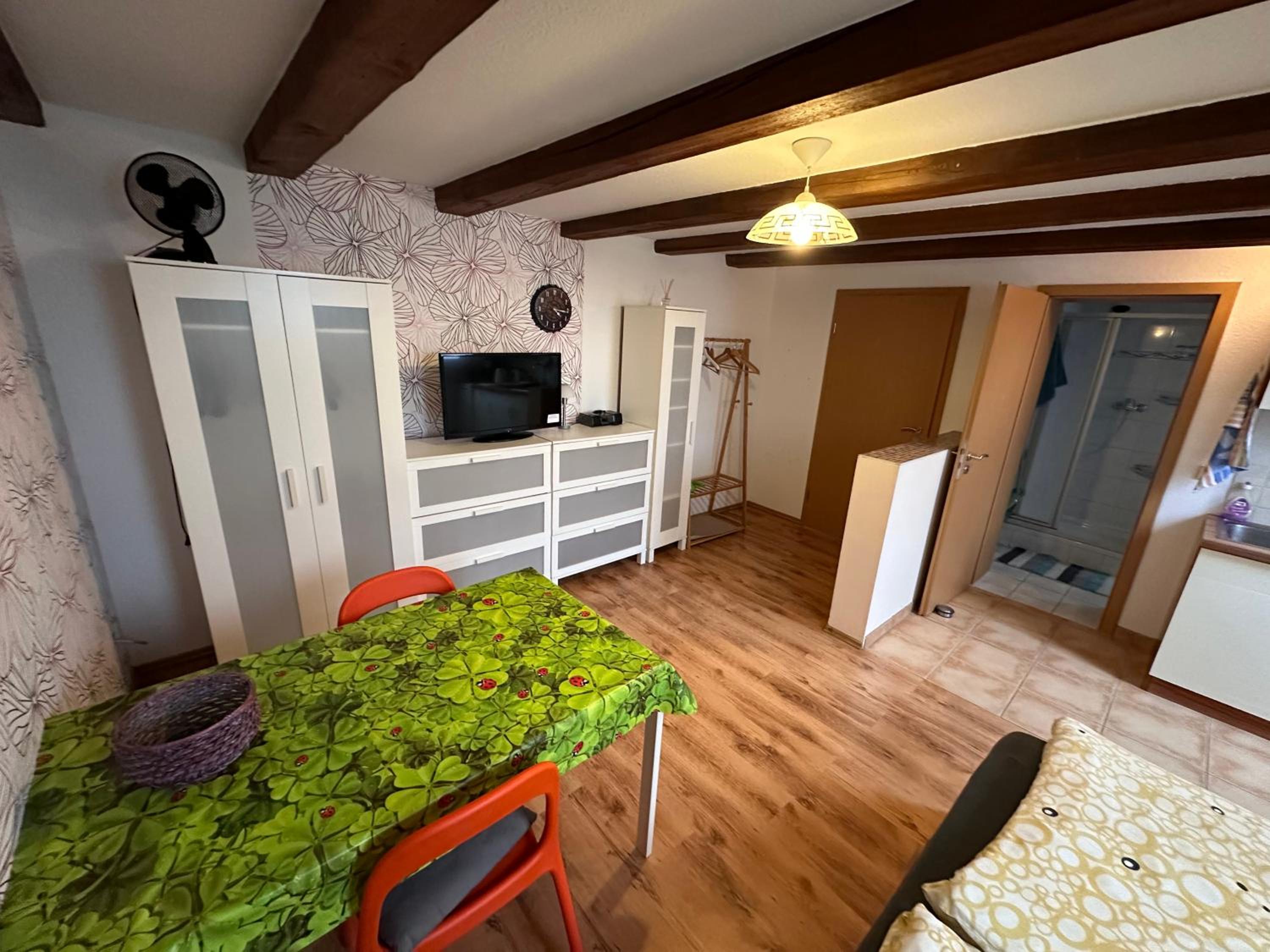 Ruhiges Wohlfühlzimmer auf dem Pferdehof Gut Greppin - mit Kochnische, WLAN & kostenlosem Parken