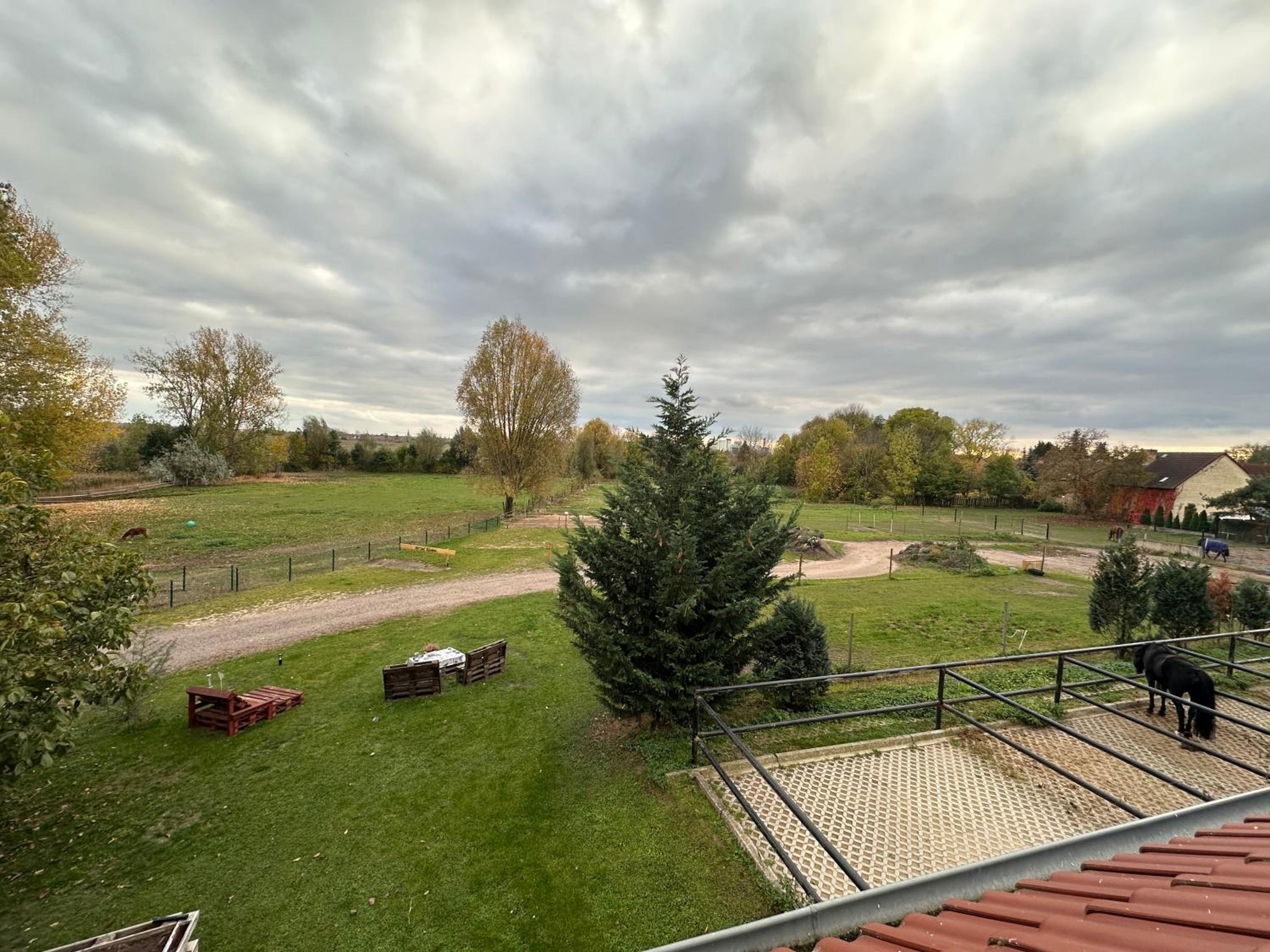 Ruhiges Wohlfühlzimmer auf dem Pferdehof Gut Greppin - mit Kochnische, WLAN & kostenlosem Parken