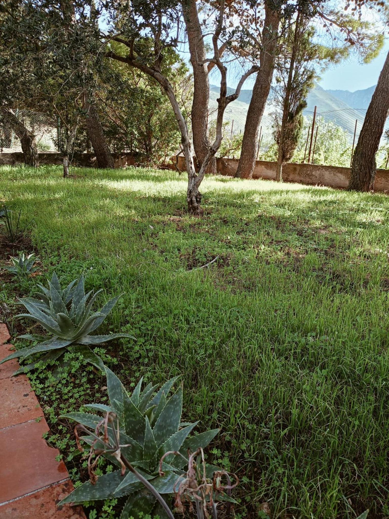 Photo 27