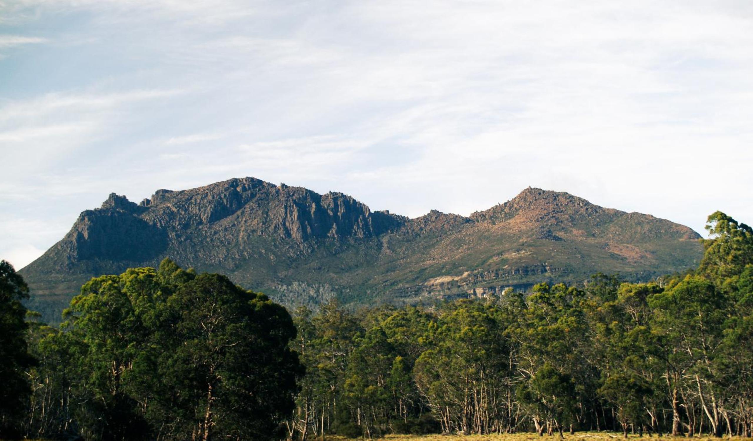 Wilder Tasmania