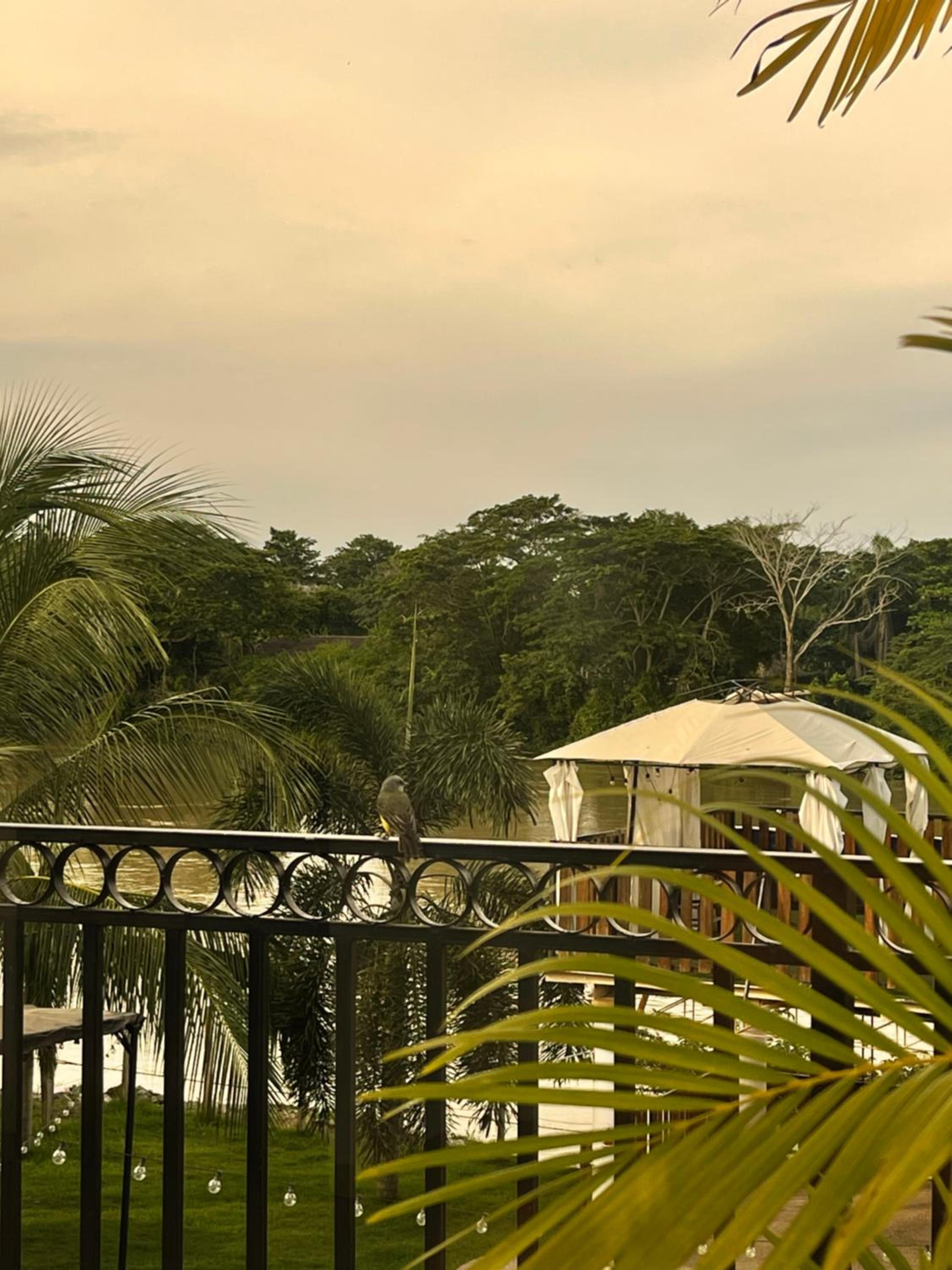 Casa Del Río