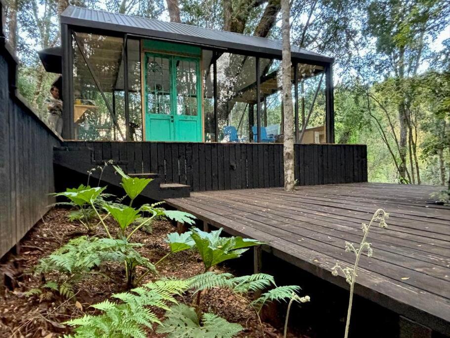 Casa en el Bosque Valdiviano