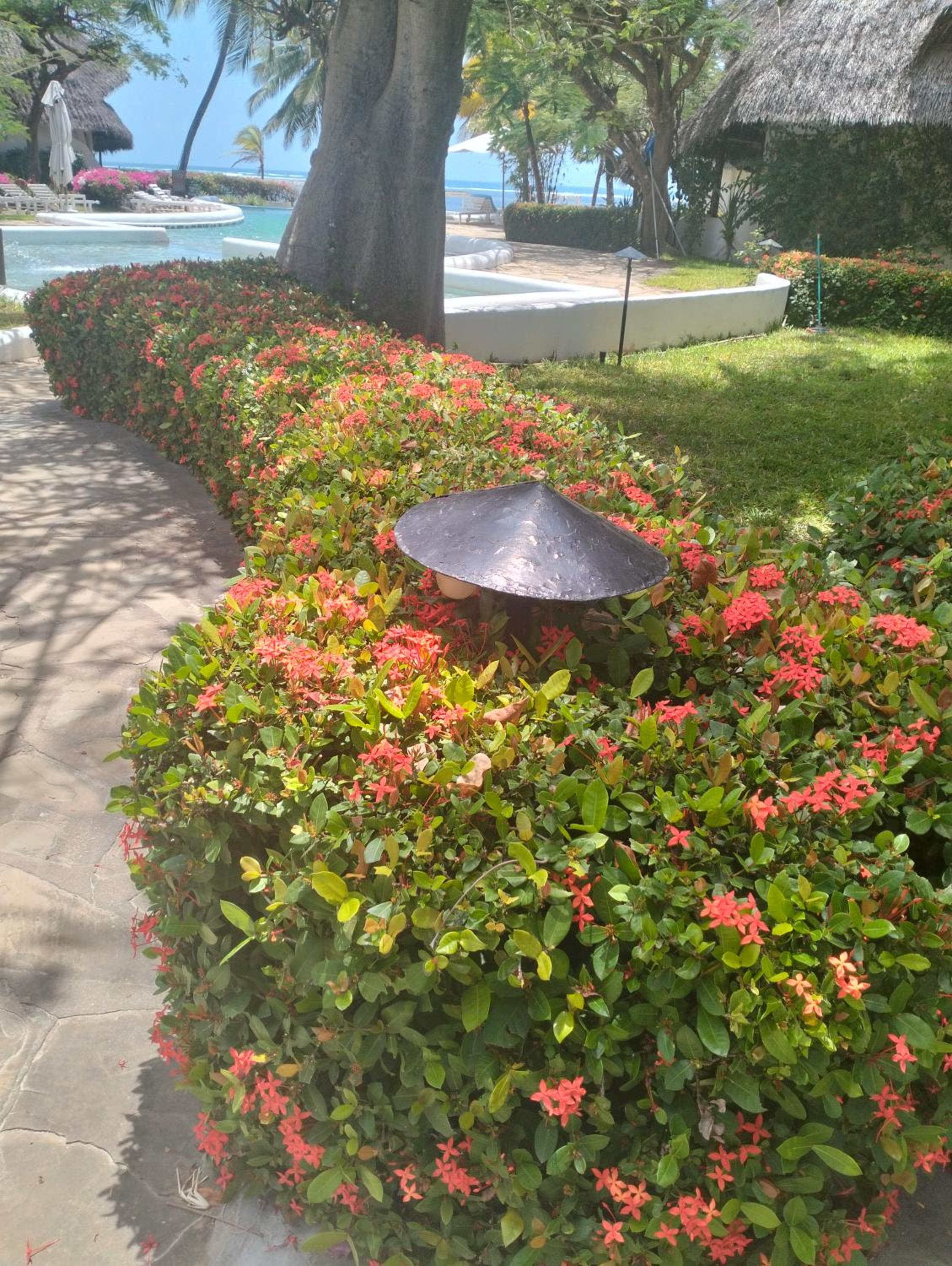 MARIA, the Star on the sea beach cottages - cottage MAMA view 2