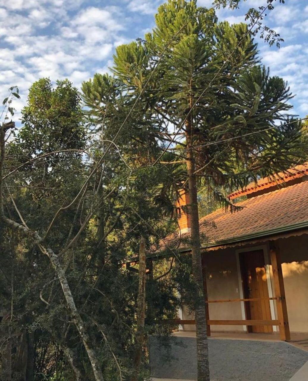 Terrace house