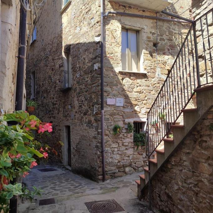 Casa Camella view 4