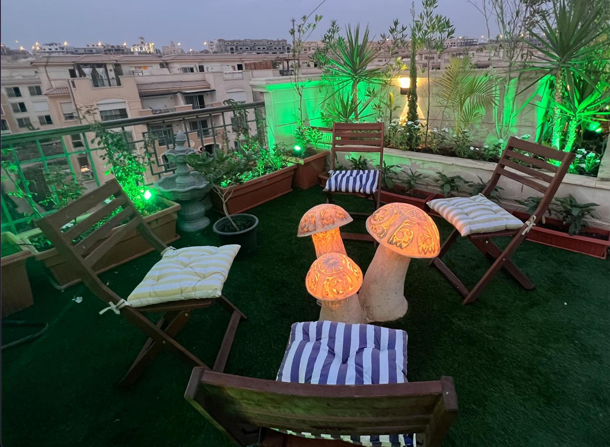 1 BR apart with Rooftop