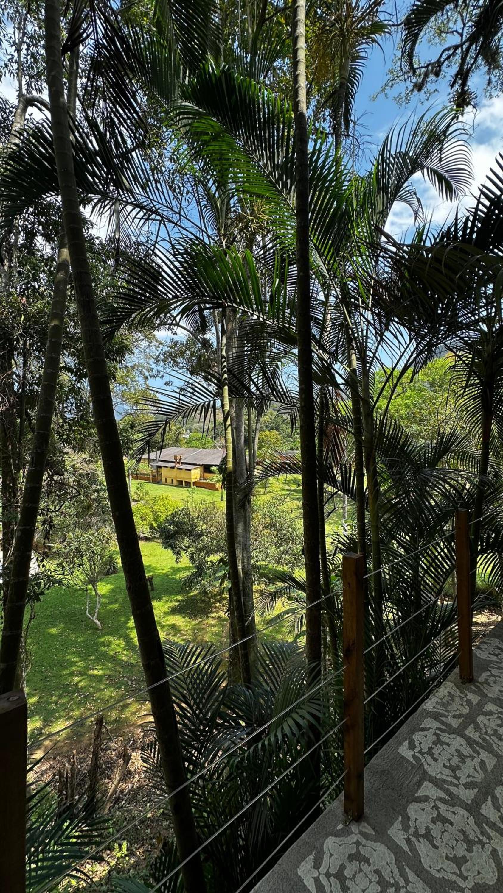 Casa da Floresta