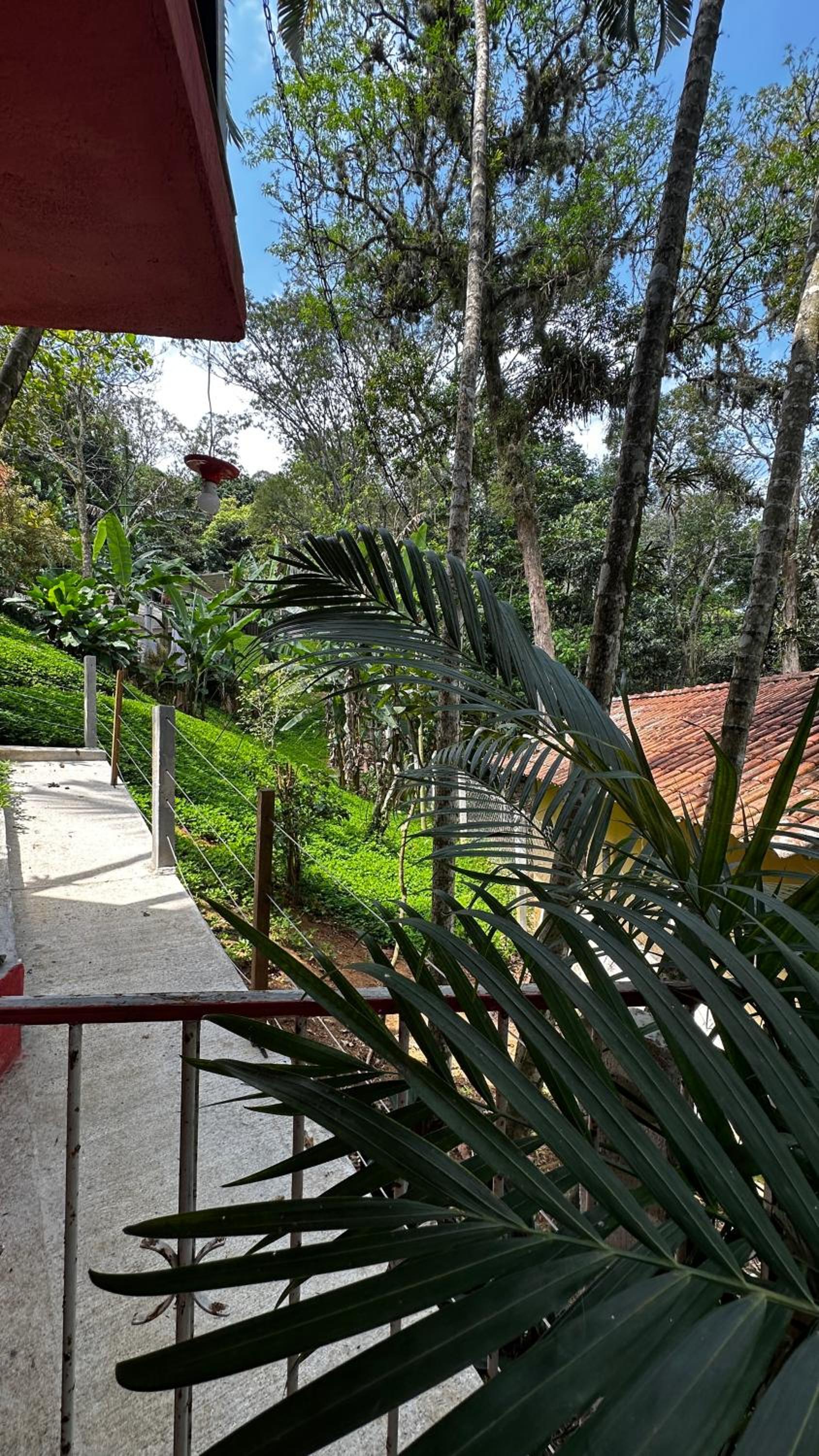 Casa da Floresta