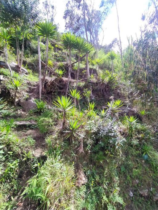 La Casita