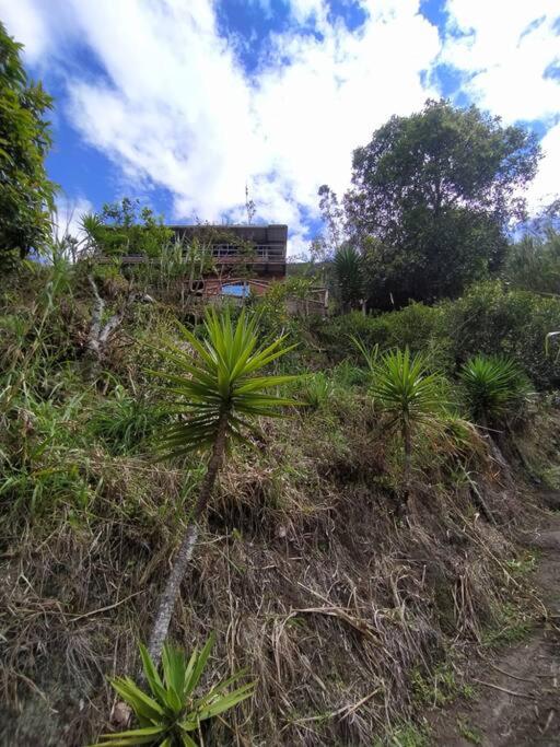La Casita