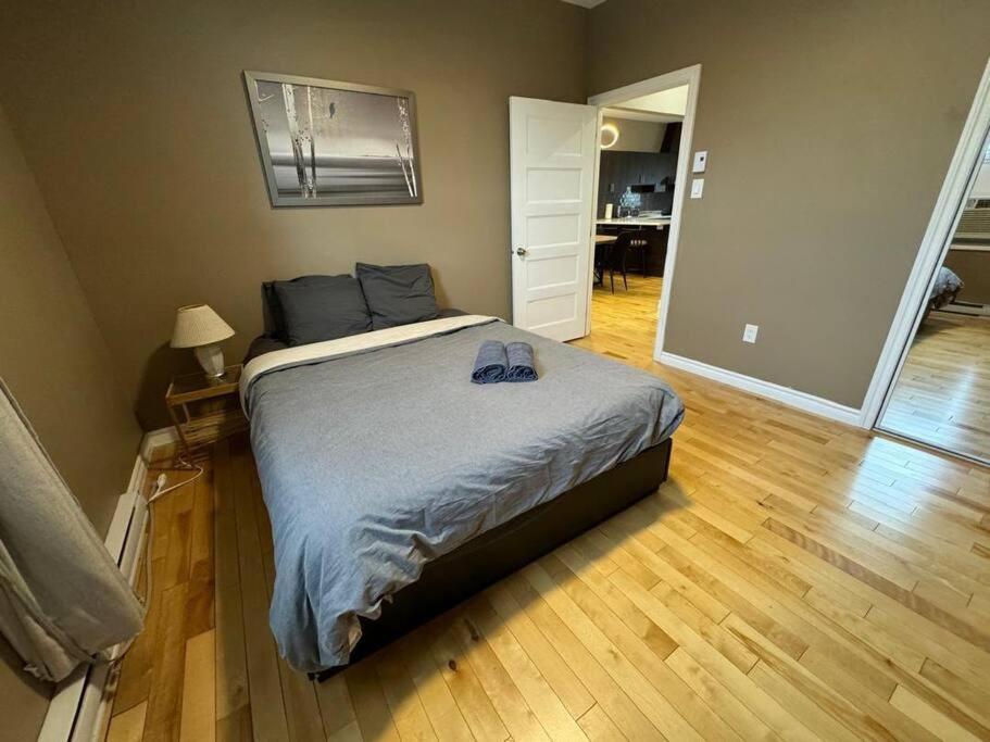Charming 3BR Apartment in Montreal, 15 Min to DT