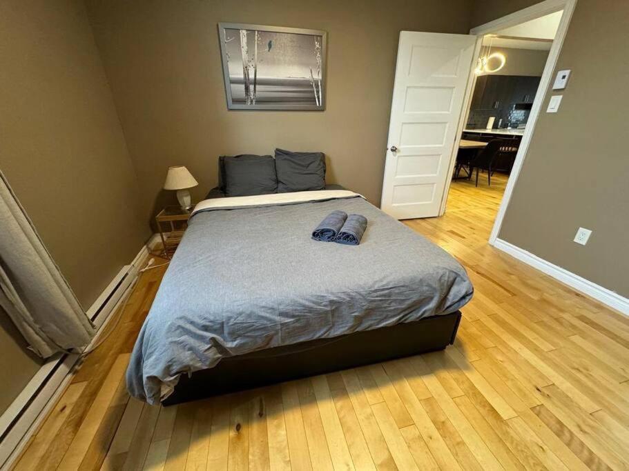 Charming 3BR Apartment in Montreal, 15 Min to DT