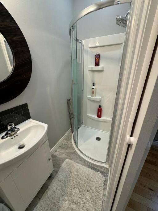 Charming 3BR Apartment in Montreal, 15 Min to DT