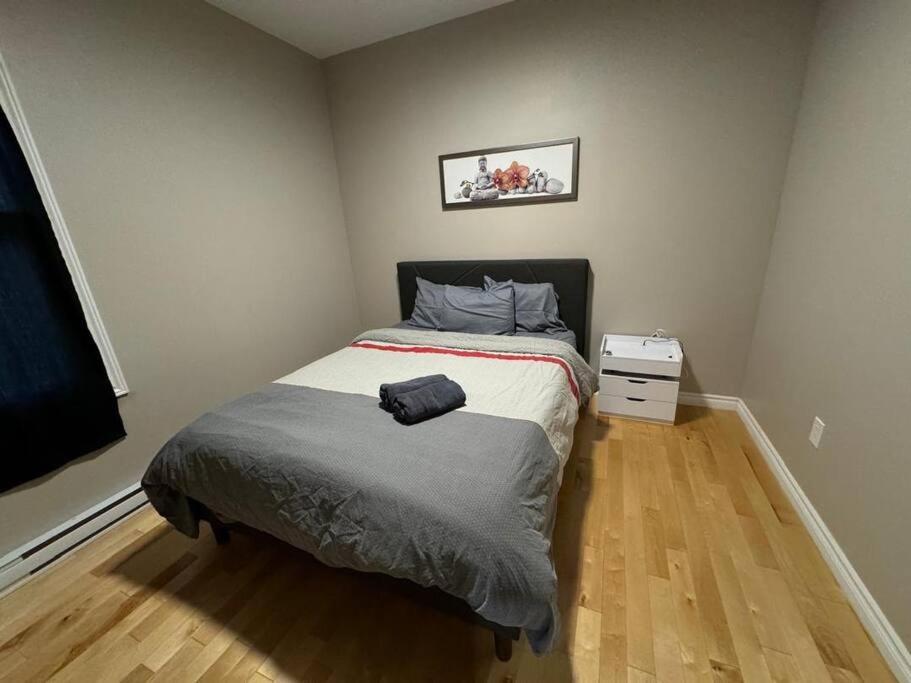 Charming 3BR Apartment in Montreal, 15 Min to DT