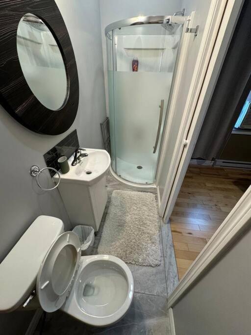 Charming 3BR Apartment in Montreal, 15 Min to DT