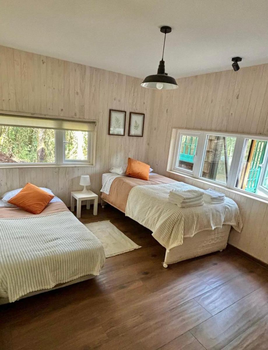 Casa en el Bosque Valdiviano