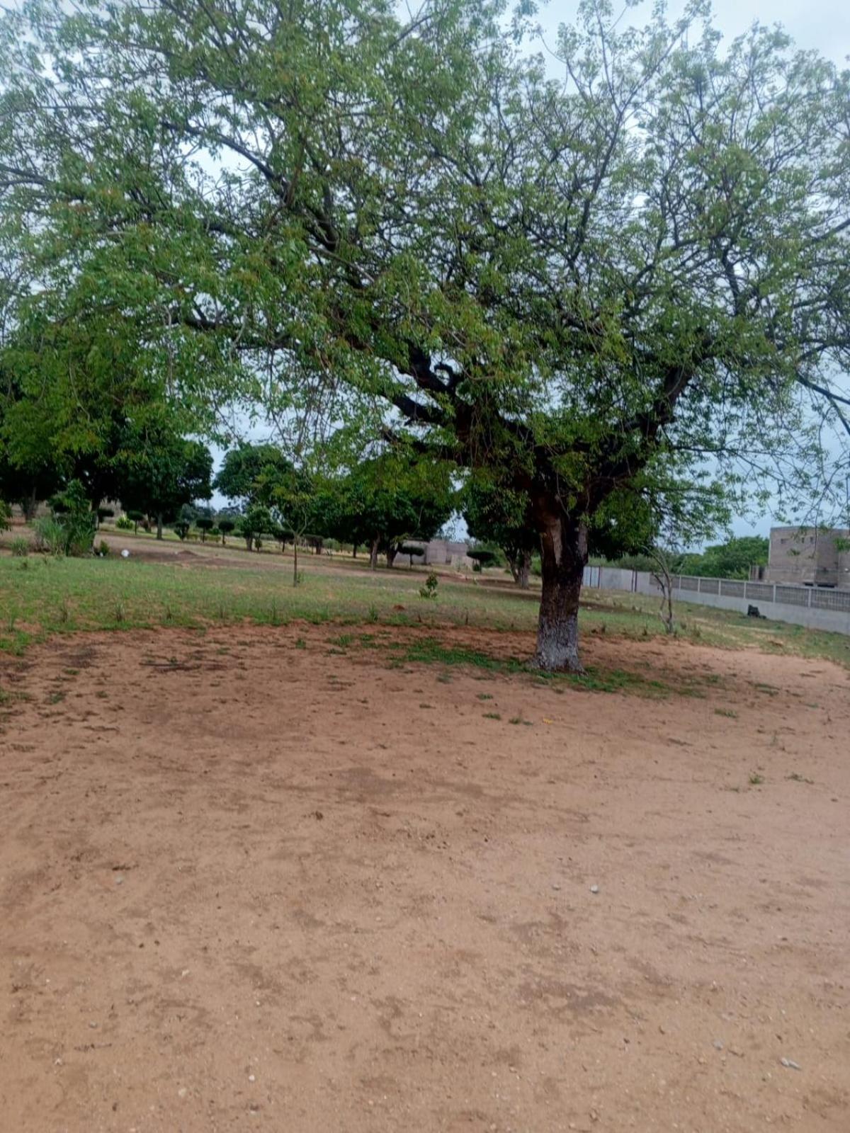 Casa Zavala view 5