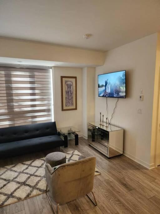 Luxury, Cozy, & Modern Living